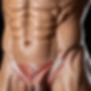 Illustration of the anatomy of the oblique abdominal muscles