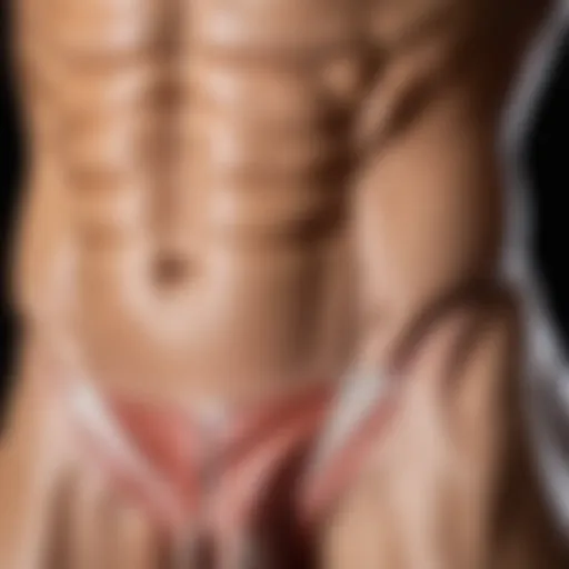 Illustration of the anatomy of the oblique abdominal muscles