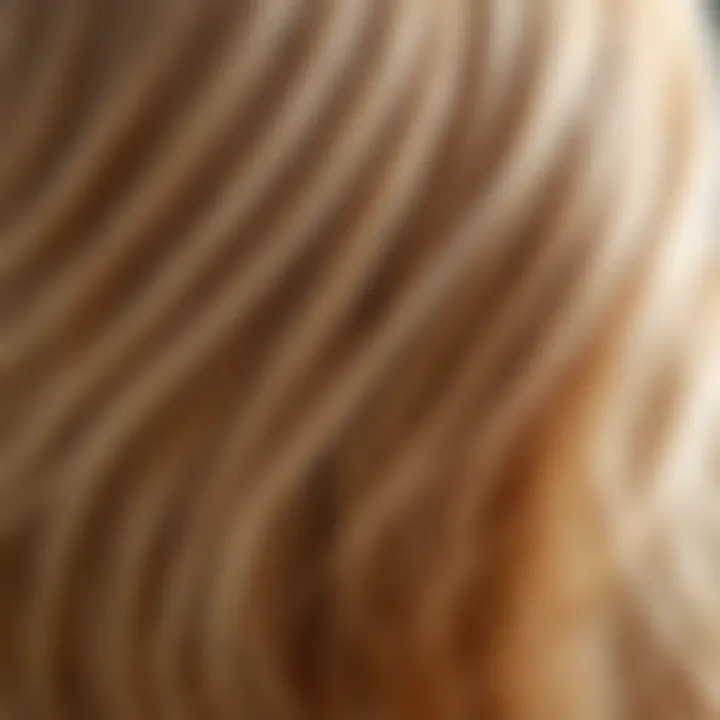 A close-up of pristine hair reflecting light.