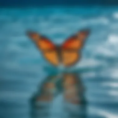 Close-up of butterfly stroke technique