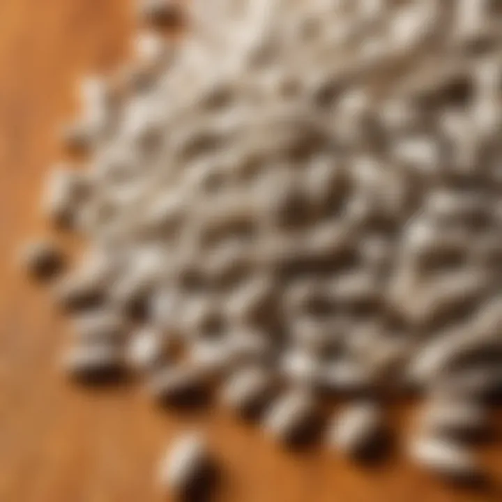 Close-up of sunflower seeds on a wooden surface