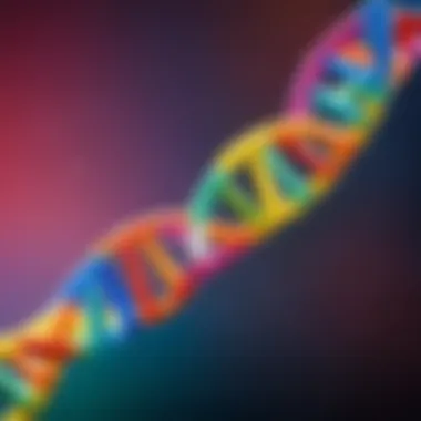 Genetic diversity representation through a colorful DNA strand