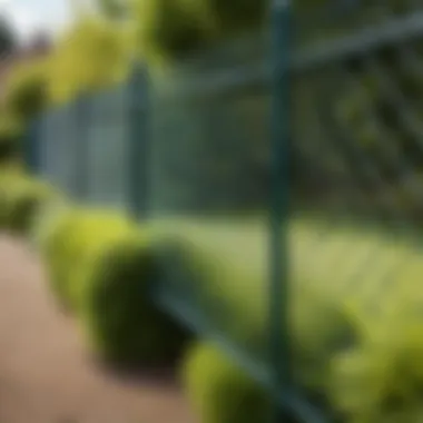 A picturesque garden with a low-maintenance chain-link fence