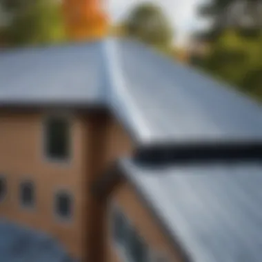 A residential home featuring a durable metal roof with a scenic background.