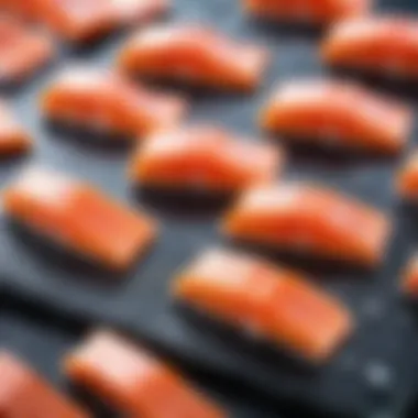 Frozen salmon fillet elegantly displayed on a slate board