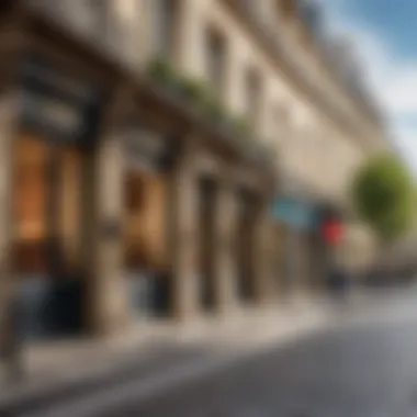 An elegant street in Paris symbolizing French language and heritage