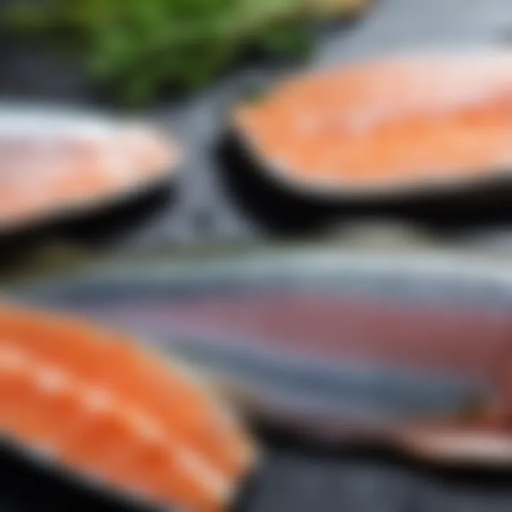 Fresh trout fillets ready for curing