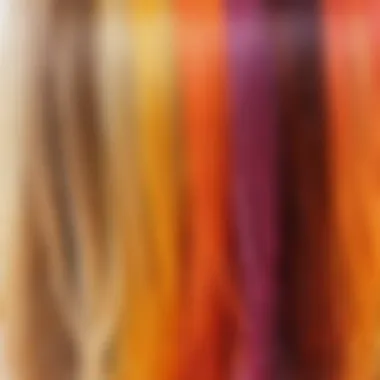 Close-up of hair strands showing the effects of dyeing techniques.