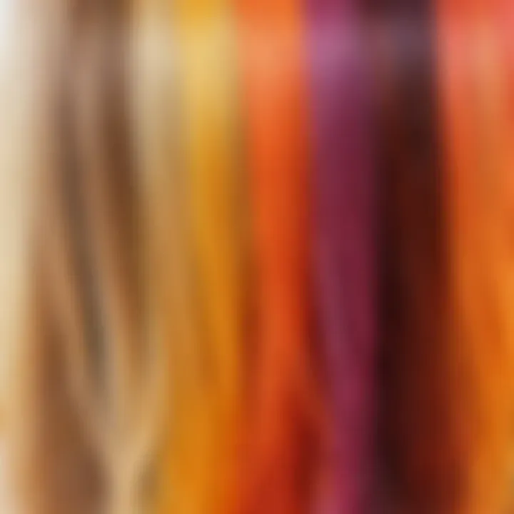 Close-up of hair strands showing the effects of dyeing techniques.