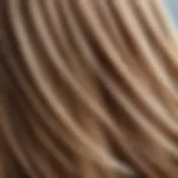 A close-up of beautifully highlighted hair strands