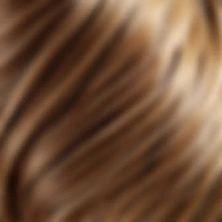 Close-up of healthy hair strands showcasing texture