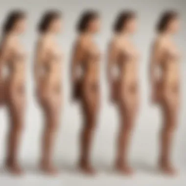 A historical timeline presenting the evolution of body drawing techniques in art