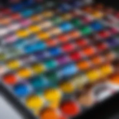 A vibrant palette of paints demonstrating color variety