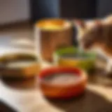 A variety of cat bowls made from different materials placed on a table