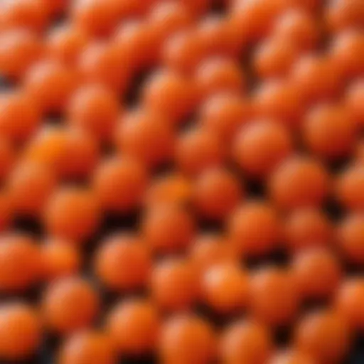 Freshly harvested salmon roe ready for salting