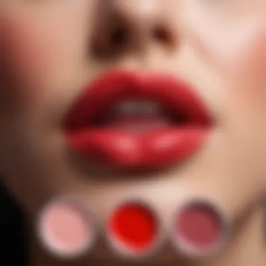 Color palette for lip drawing demonstrating various hues