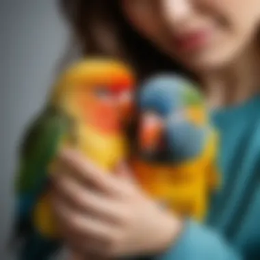 A close-up of a person gently holding a pet bird, demonstrating affection and care.