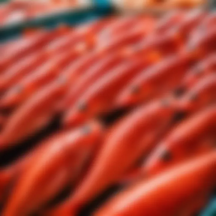 High-quality red fish selection displayed in a market