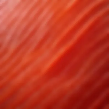 Detailed view of red fish fillet showcasing its texture