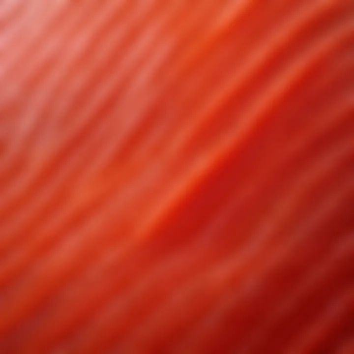 Detailed view of red fish fillet showcasing its texture