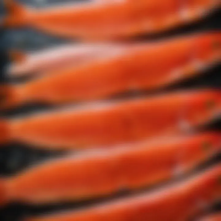 Close-up of red trout fillets ready for salting