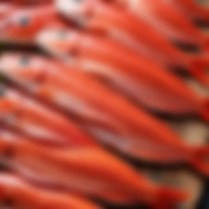 Selection of fresh red fish suitable for salting, highlighting quality and freshness