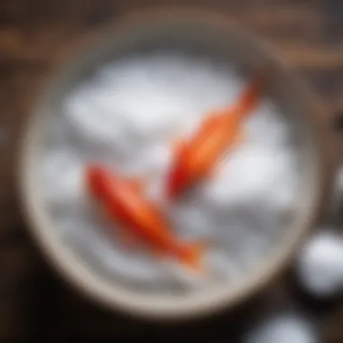 A bowl containing a blend of salt and sugar for curing fish.