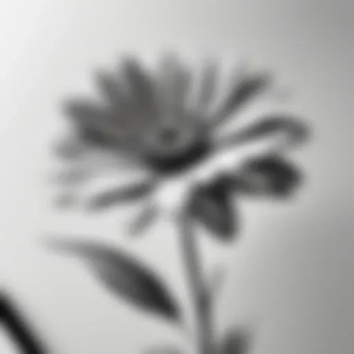 Simple pencil sketch of a flower