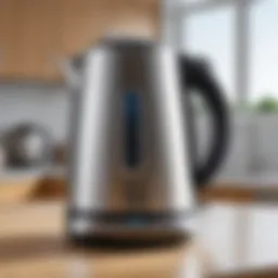 Electric kettle showcasing energy efficiency