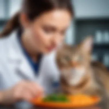 Veterinarian examining a cat's diet