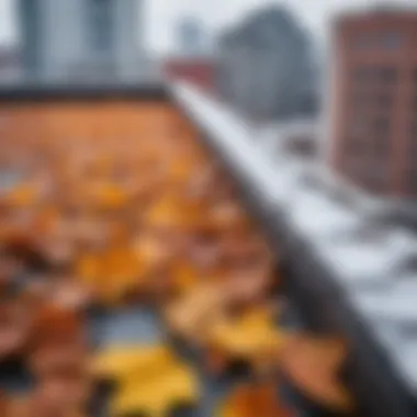 Accumulation of leaves on a winter rooftop